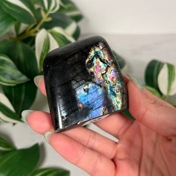 Labradorite freeform 40