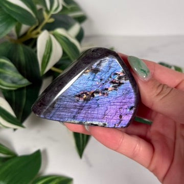 Labradorite freeform 64