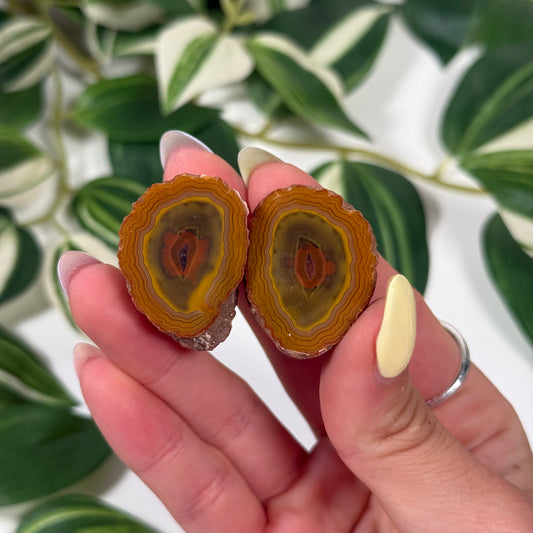 Zhanguo agate pair 60a