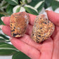 Queensland agate pair 80 (parallax)