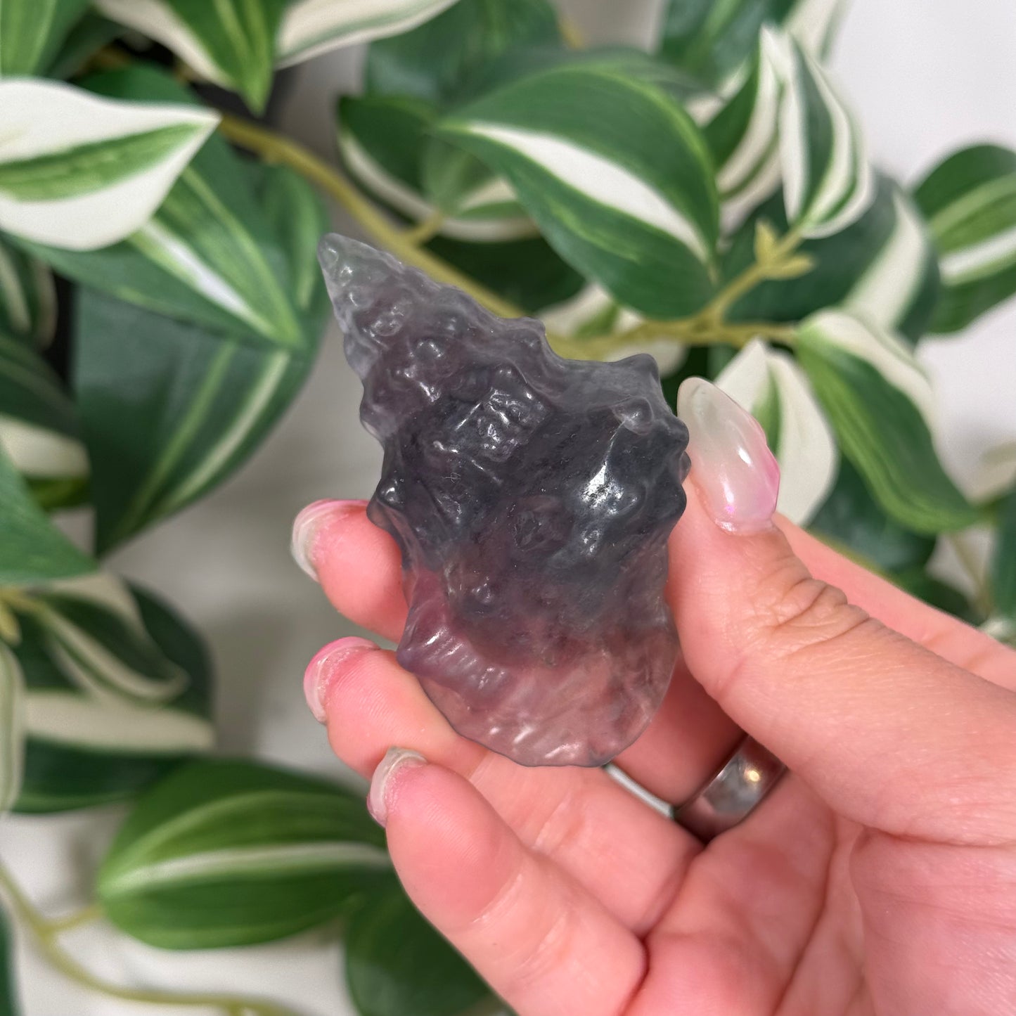 Fluorite shell A
