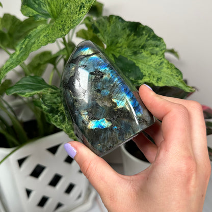 HQ labradorite freeform 154