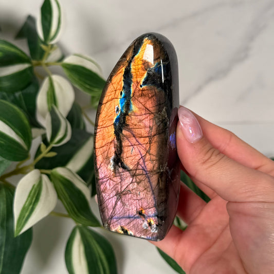 Labradorite freeform 29