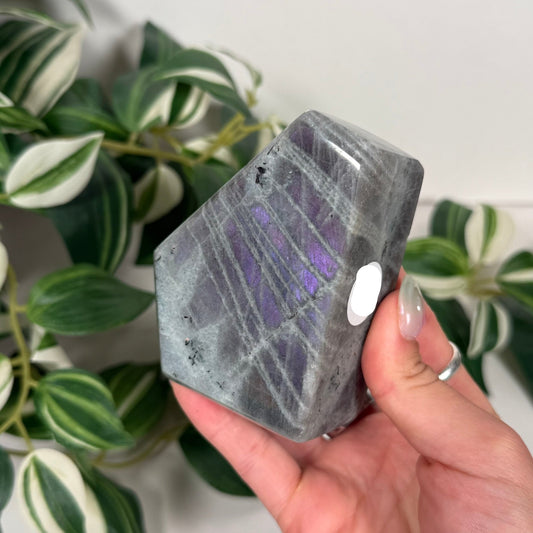 Labradorite freeform 43