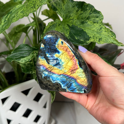 HQ labradorite freeform 122