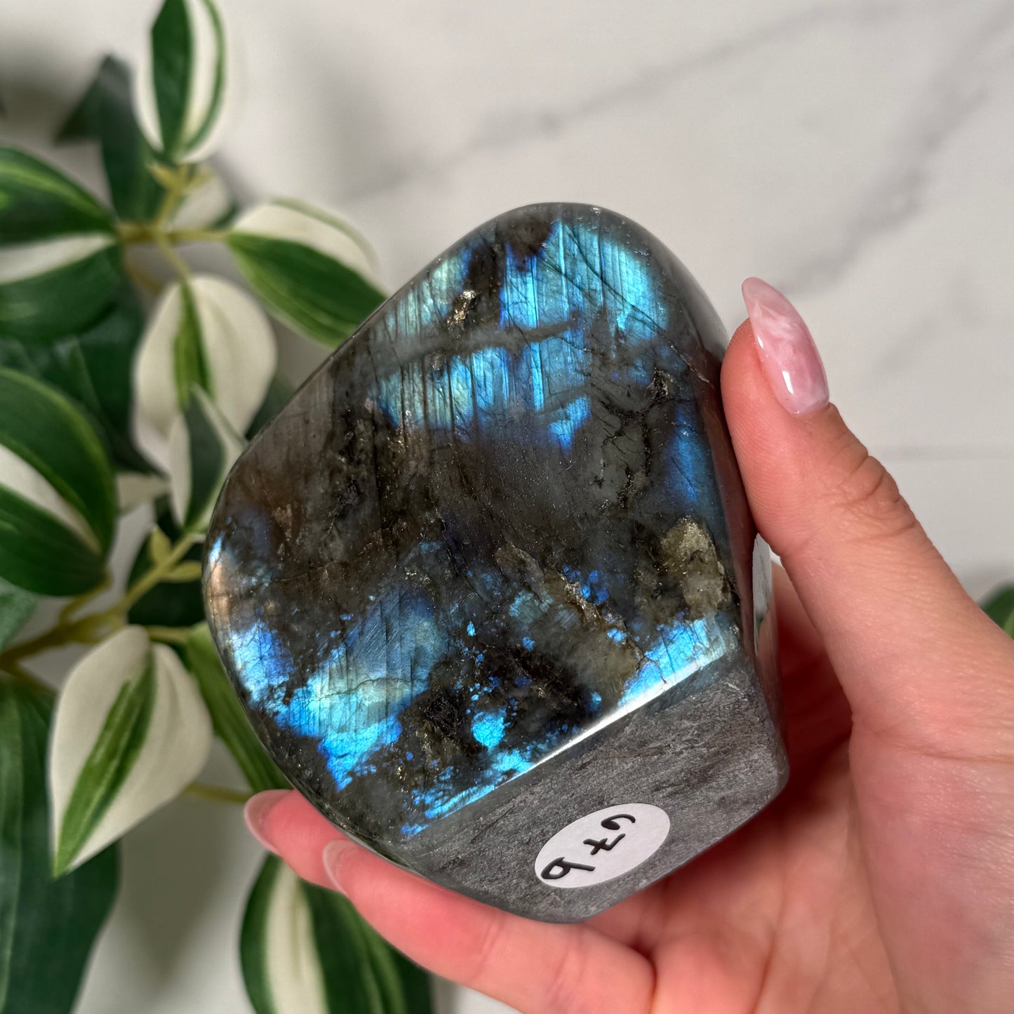 Labradorite freeform 67