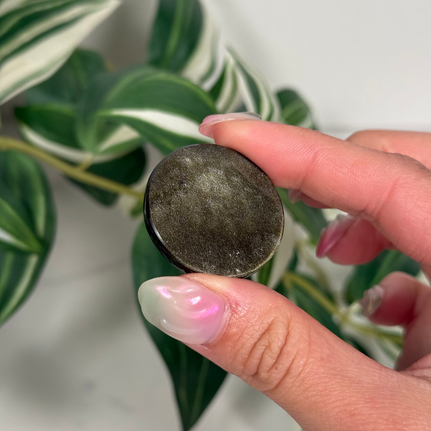 Gold sheen obsidian "coin"