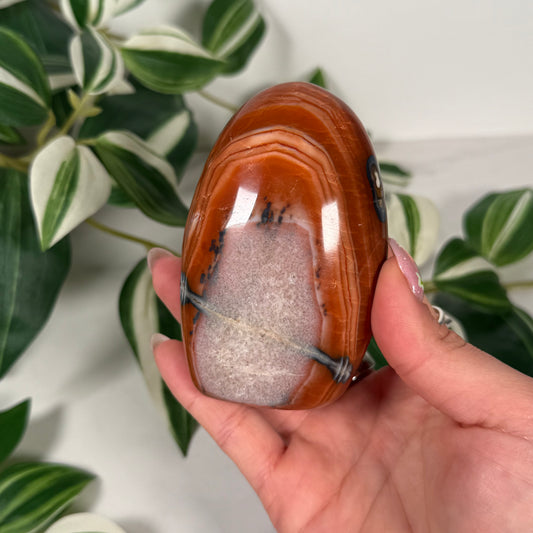 Carnelian freeform 26* small chip on bottom