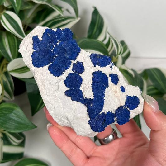 Azurite sun 230