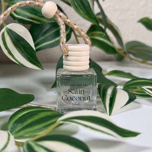 Satin Coconut Car Diffuser