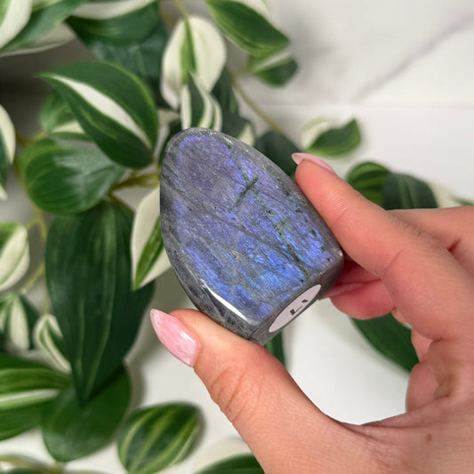 Labradorite freeform 17