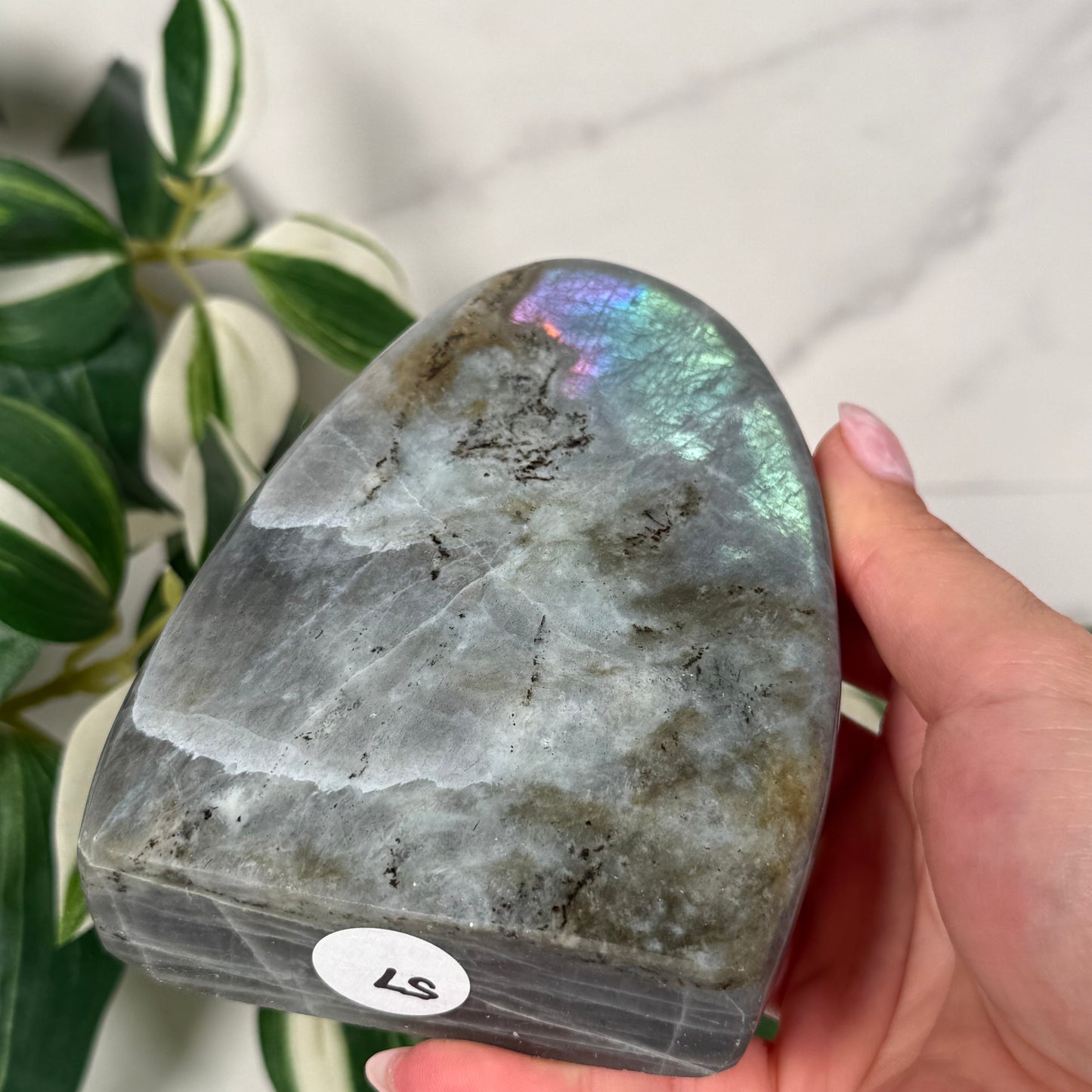 Labradorite freeform 57