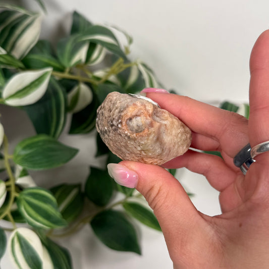 Patagonia agate 120