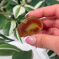 Queensland agate 40b
