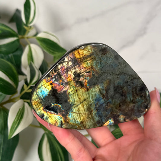 Labradorite freeform 55