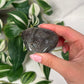 Labradorite freeform 13b