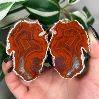 Red Laguna agate pair