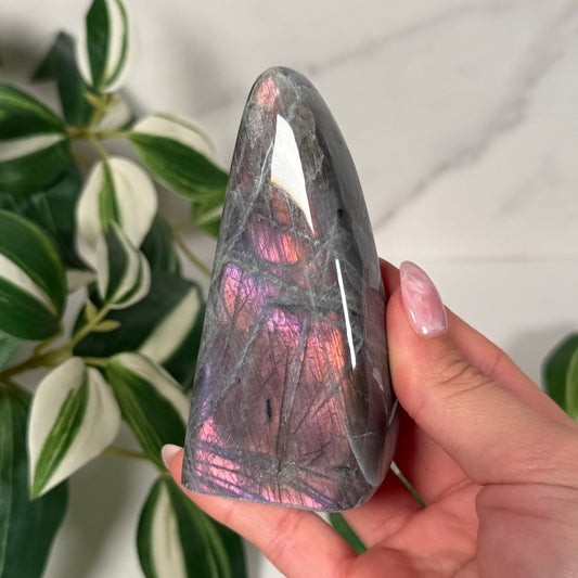 Labradorite freeform 28