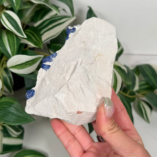 Azurite sun 230