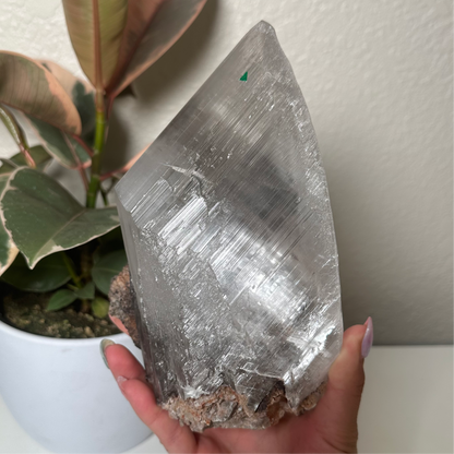 Naica selenite with enhydro