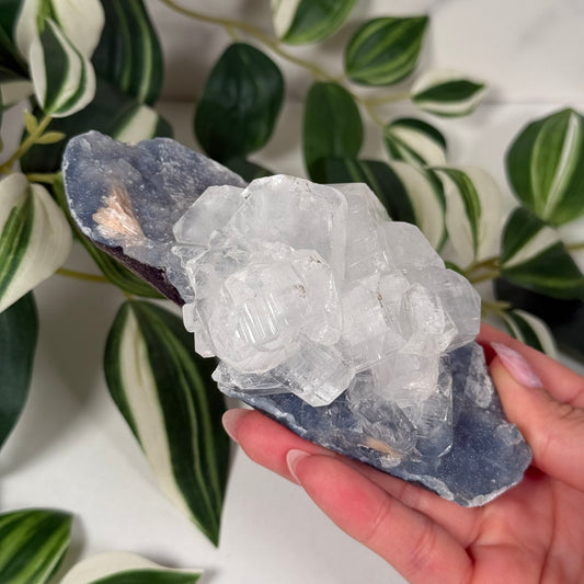 Apophyllite on blue chalcedony 115