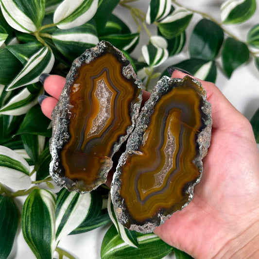 Condor agate pair 202