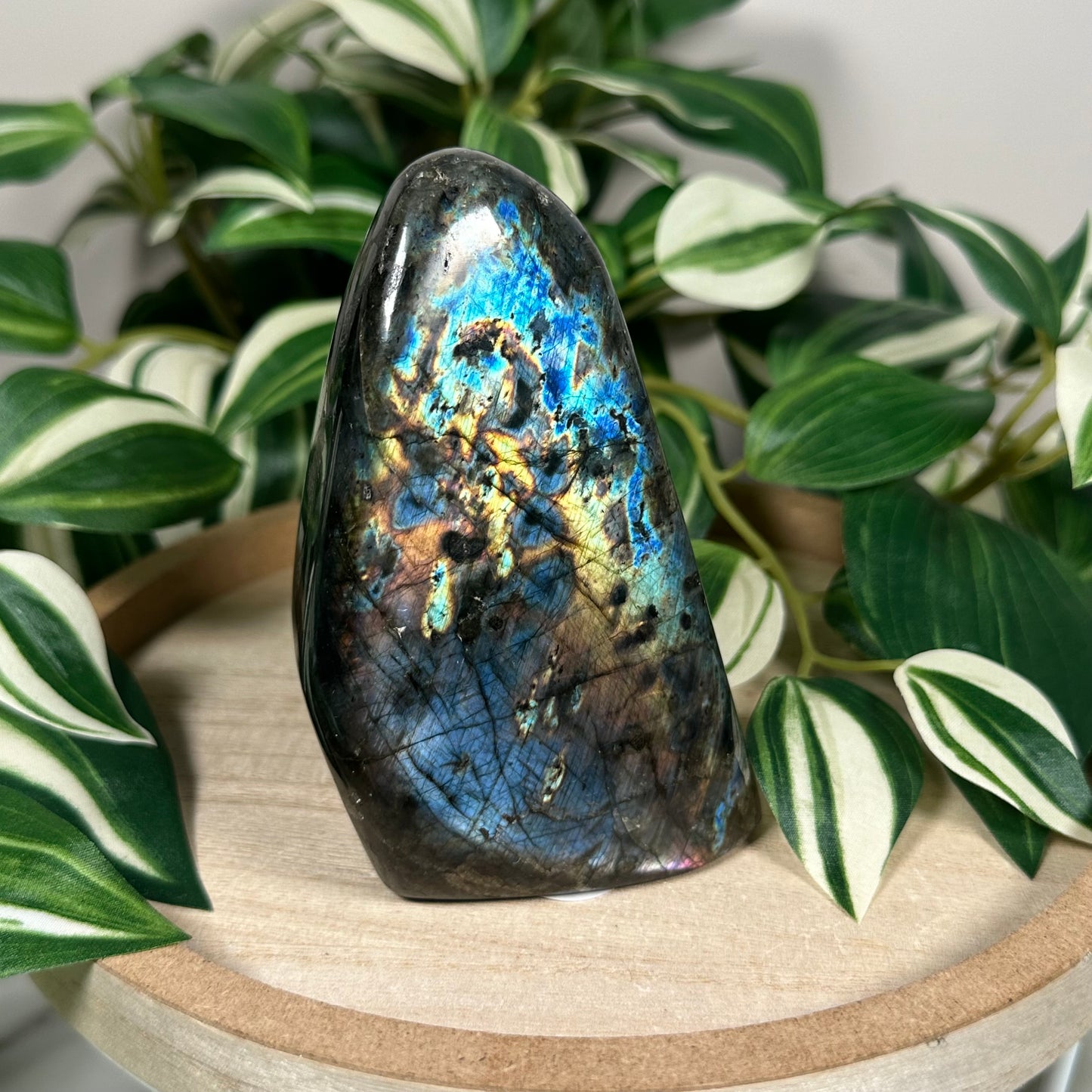 Labradorite freeform 62