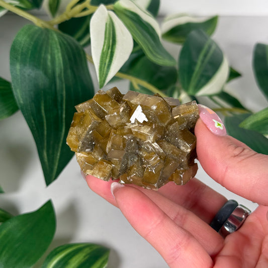 Golden Barite with Fluorite 40b