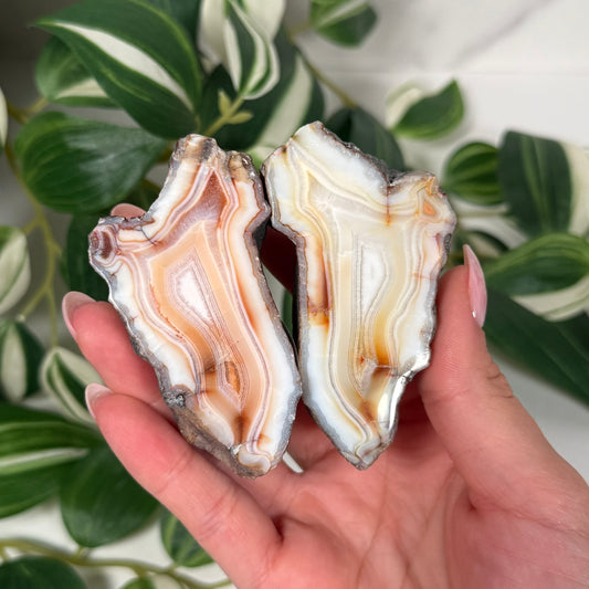 Indonesian agate pair 80