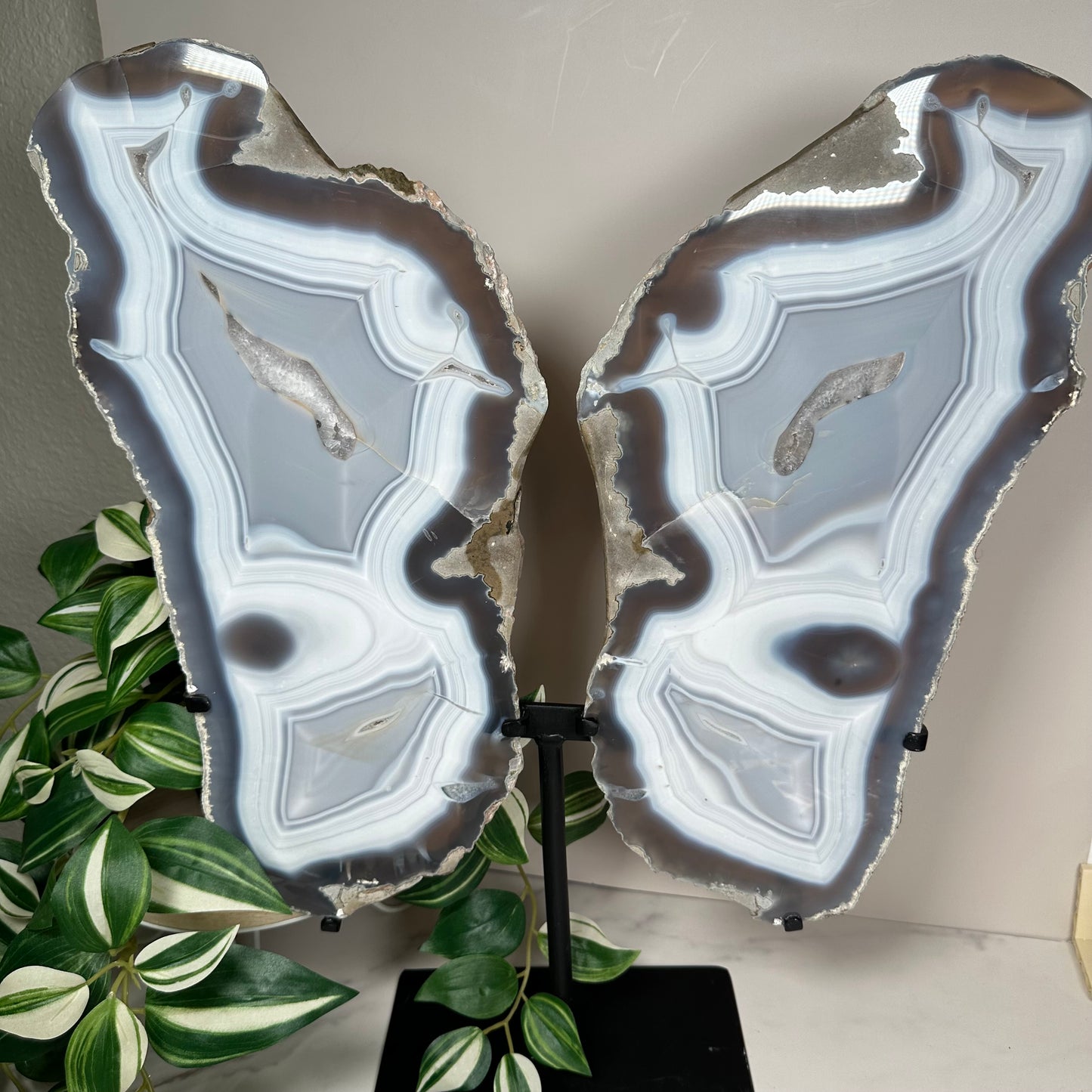 Agate wings on stand