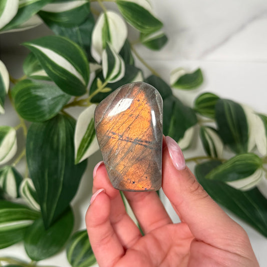 Labradorite freeform 10