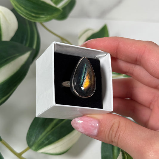 Adjustable spectrolite ring