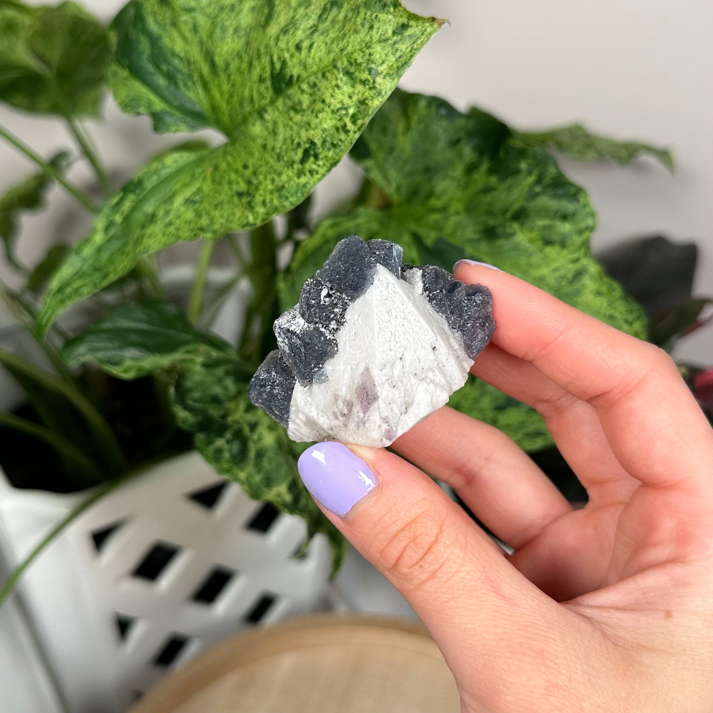 Octahedral fluorite on candle quartz