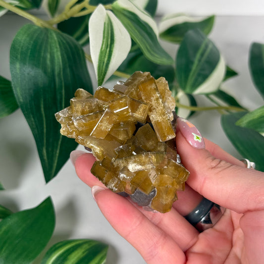 Golden Barite with Fluorite 40a