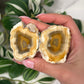 Indonesian agate pair 100