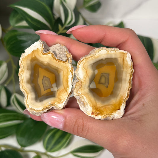 Indonesian agate pair 100
