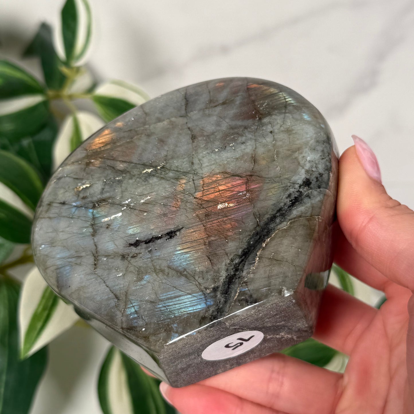 Labradorite freeform 75