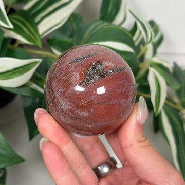 Petrified wood sphere