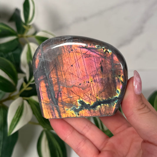 Labradorite freeform 31