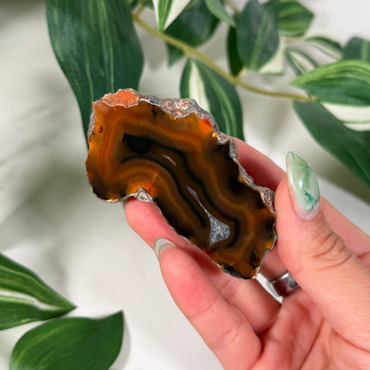 Condor agate 80