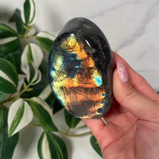 Labradorite freeform 41