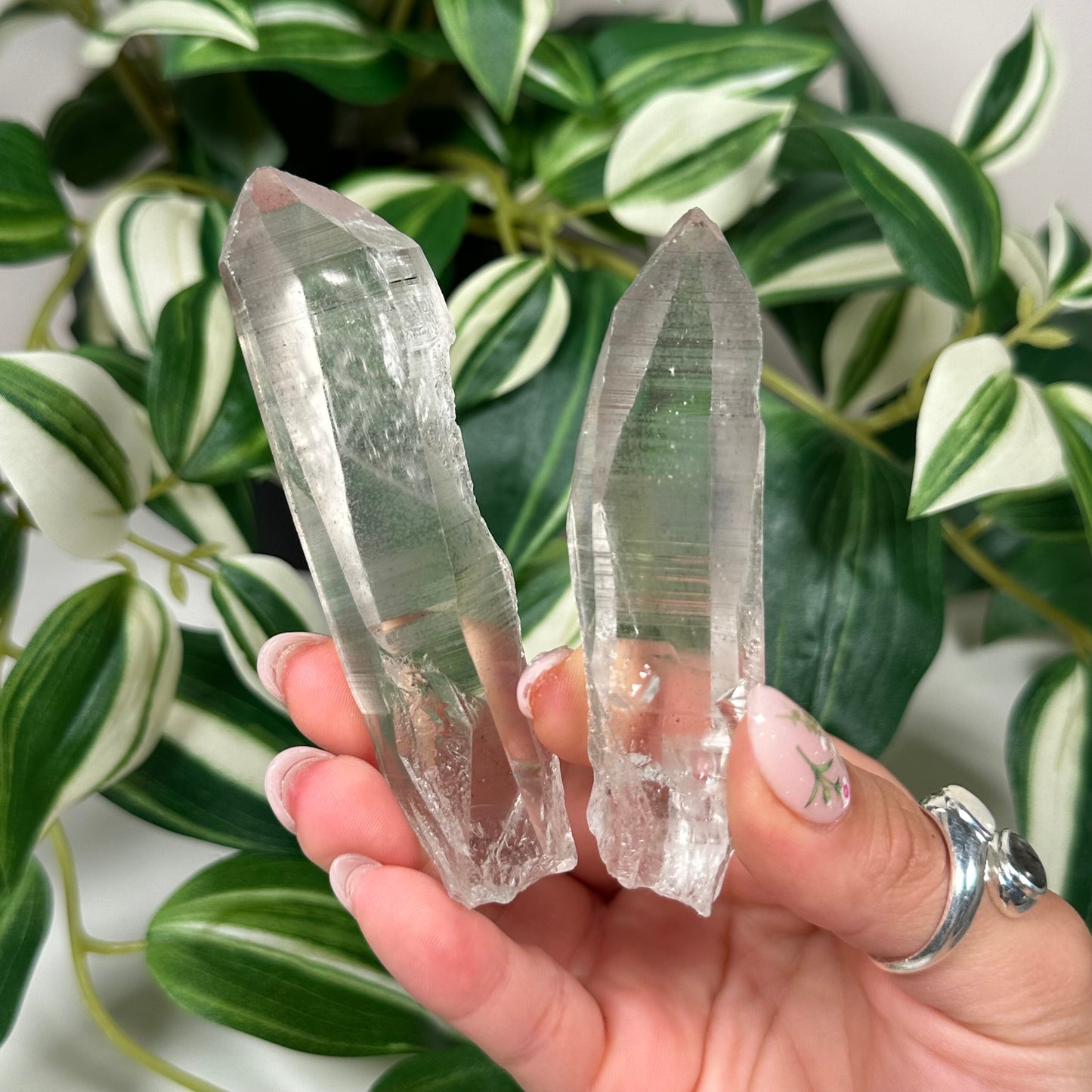 Diamantina lemurian quartz