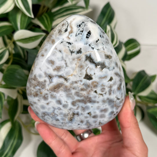 Sea jasper freeform 106