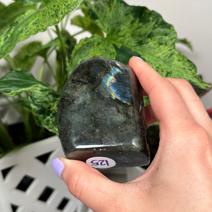 HQ labradorite freeform 125