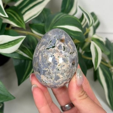 Cosmic jasper egg