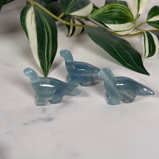 Blue onyx mini aptosaurus