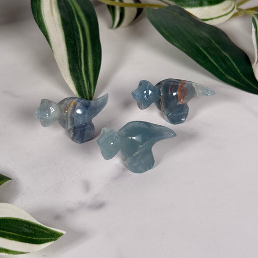 Blue onyx mini T-rex