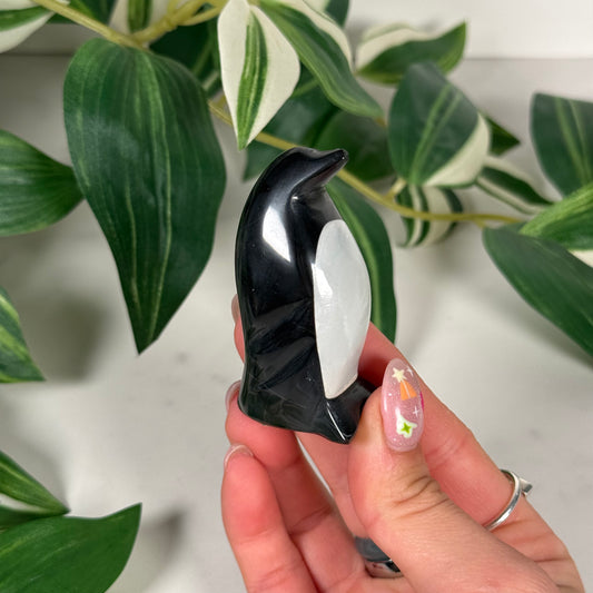 Onyx penguin