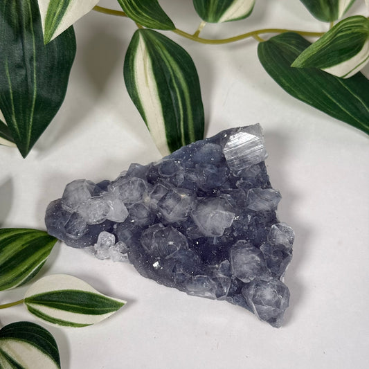 Apophyllite on blue chalcedony 88