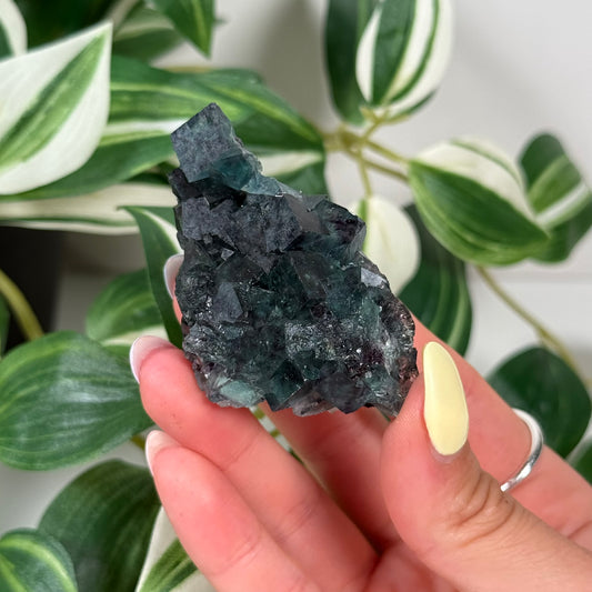 Okorusu fluorite 62